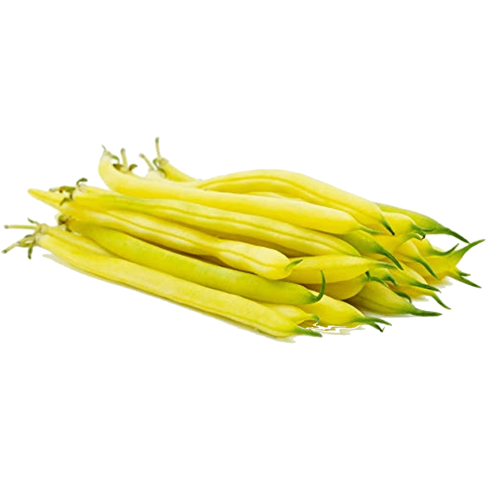 Butter Beans (Cherokee Wax Bean) X 10 Vegetable seeds Organic Heirloom seed 🌿 eBay